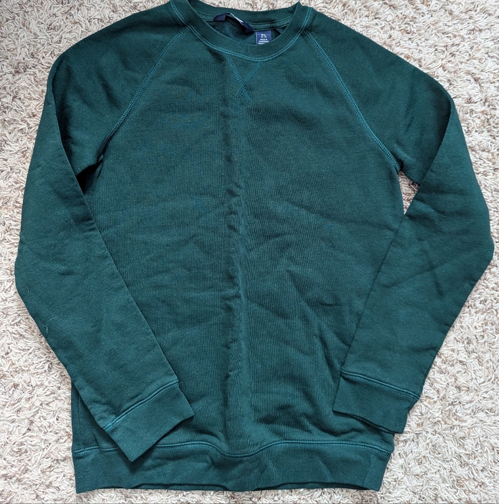 Land's End sweatshirt